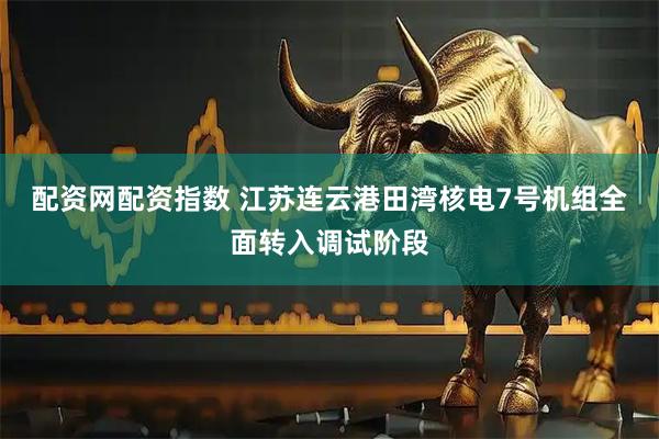 配资网配资指数 江苏连云港田湾核电7号机组全面转入调试阶段